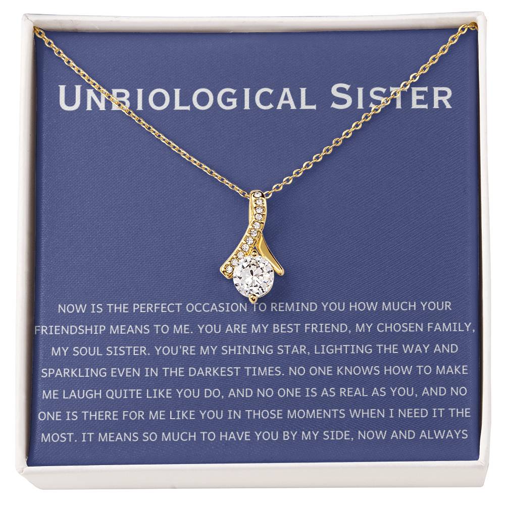 Unbiological Sister Necklace - Gift for Bonus Sister - Alluring Beauty Necklace