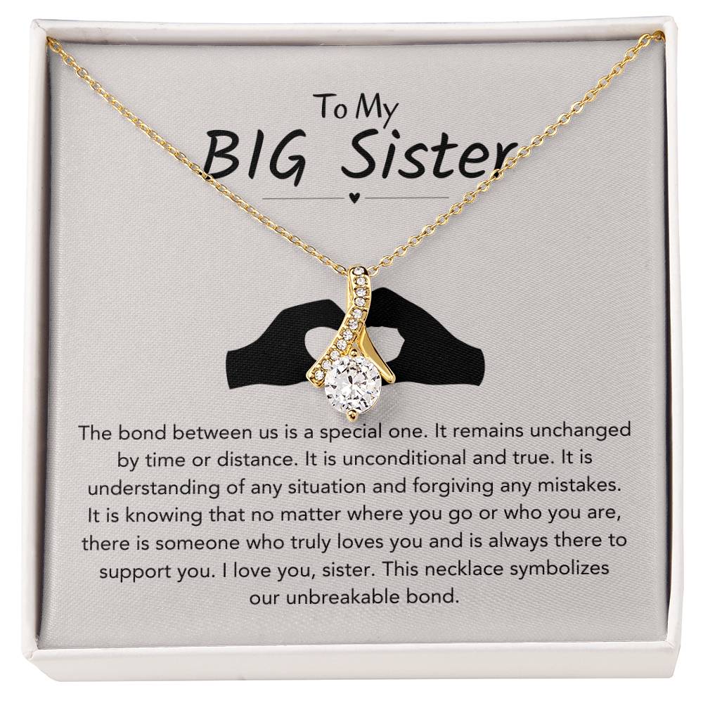 To My Big Sister Necklace - The bond between us is a special one - Gift for Big Sister - Alluring Beauty Necklace