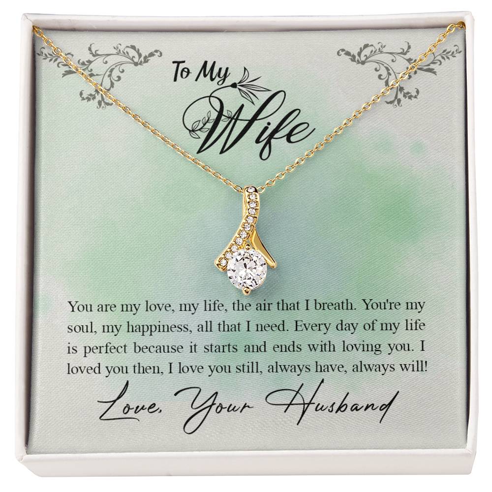 Gift for Wife from Husband - Sentimental Jewelry for Anniversary & Valentine’s Day - Alluring Beauty Necklace